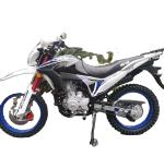 2022 super cool speedo 125cc 250cc motorcycle dirt bike motor cheap electric