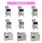 12 Kw Dual Purpose Mechanical Panel Gas Stove 30L Capacity 0.48kg/h Gas