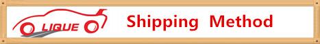 BOSCH Fuel injector 0445110255, 0445110256, 33800-2A400 , 0 445 110 255 , 0 445 110 256 , 338002A400 for HYUNDAI & KIA
