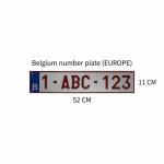 QJY20240301-02 Modern Decorative Smart Film License Plates