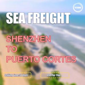 Quality 37 Days DDP DDU Sea Freight From Shenzhen To Puerto Cortes Honduras wholesale