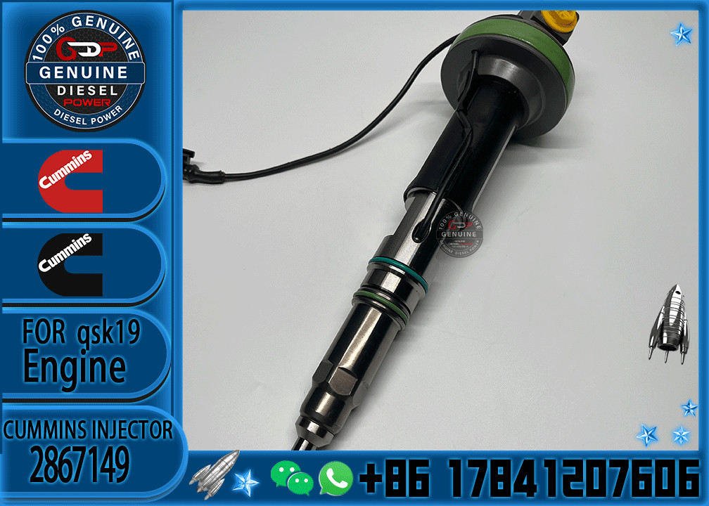 parts QSK19 QSK50 QSK60 Diesel Fuel Injector 2882079 4964172 4964170 4955524 2867148 2867149 4964171