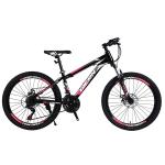 Performance TONGLI MICHANICAL DISC BRAKE Mountain Bike with Steel Rim