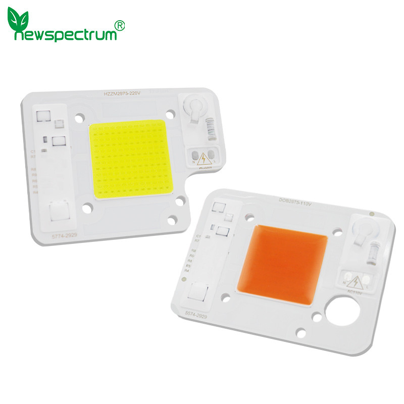Cold White 50W LED Chip 240V No Need Driver For Greenhouse Lights Plant
