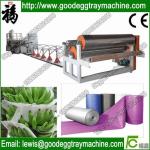 EPE Foam Sheet/Film Production Line(FCFPM-90)