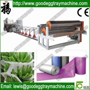 Quality Factory Direct Sales epe plastic extruder wholesale