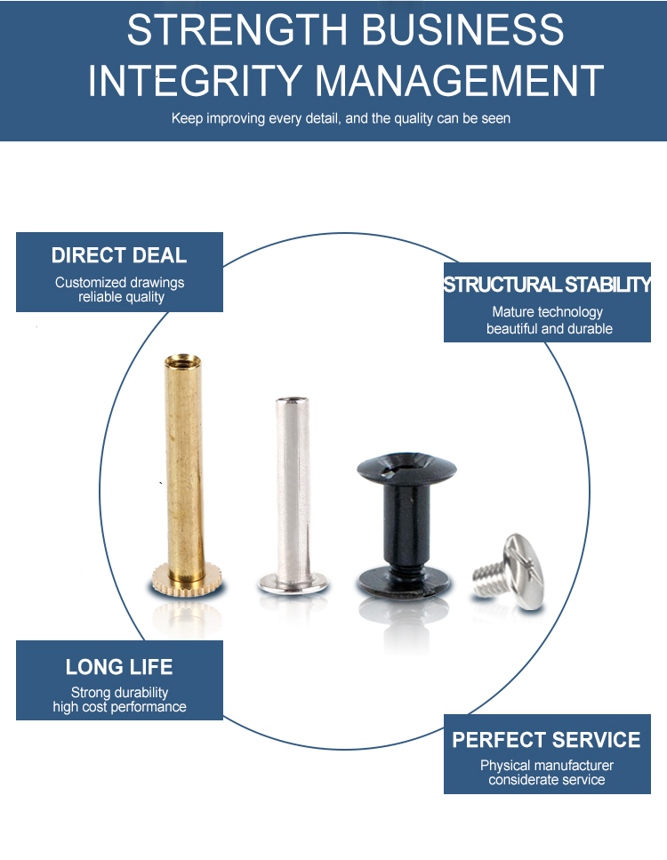 Customized Stainless Steel Pan Head Chicago Screw for Leather Belt and Book Binding