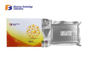 Quality Mouse High Precision and Specificity Luteinizing Hormone ELISA Kit 96 Wells 48 Wells wholesale