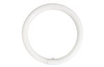 T9 Circular Fluorescent Lamp, 22W / 32W / 40W, 2700K / 4000K / 6400K, G10q, 9