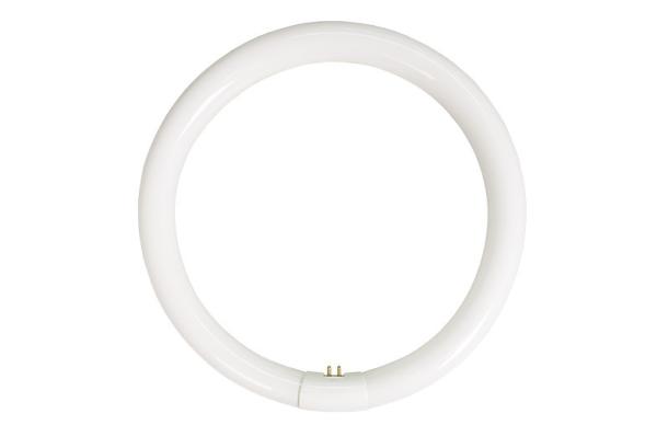 T9 Circular Fluorescent Lamp, 22W / 32W / 40W, 2700K / 4000K / 6400K, G10q, 9