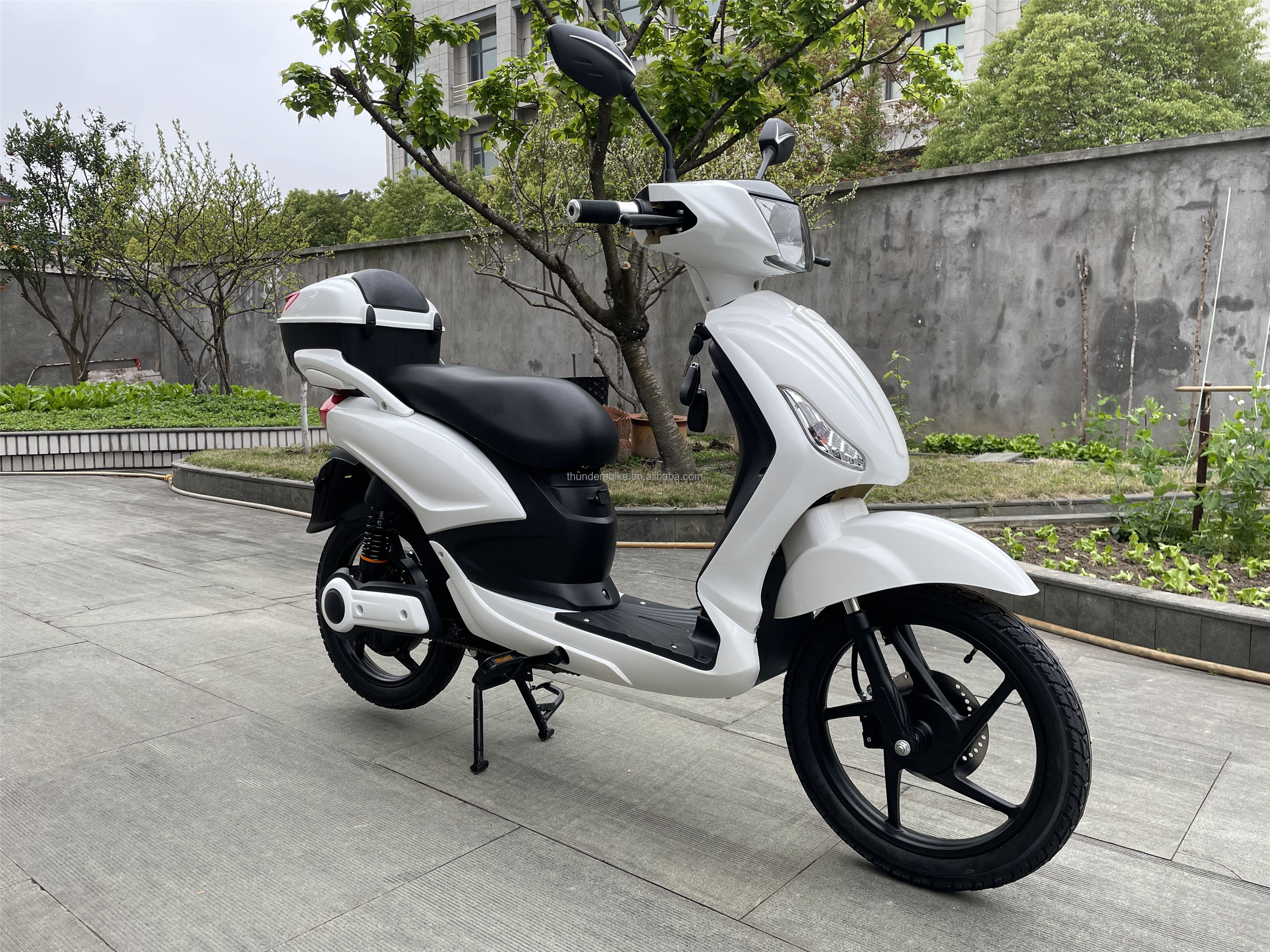 CE EEC Certified Light Weight Europe Style Pedal Assist Lead or Lithium Battery E Scooter With Full Colorful Display Bluetooth