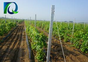 Quality High Strength Vineyard Trellis End Posts With Round Holes 2.0mm-4.0mm Thickness wholesale