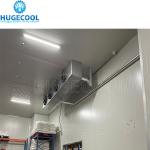 Cold Room System for Ice Cream in Logistics Centers Insulated Cooling and