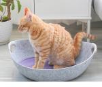 felt cat nest with for 100% safety pet round nest cat dog bed cat bed nest