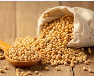 Quality Food Grade Enzymes Thermostable Alkaline Protease, Alkaline Protease wholesale