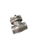 Weld Type Cryogenic Check Valve Light Weight Good Sealing Performance