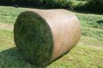 HDPE Well-Knitted White Bale Wrap Net