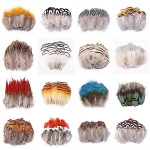 Quality Party Decoration Carnival Feathers 4-6 Inch , Natural Chicken Feather wholesale