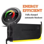 60V20ah 60v30ah 72v20ah 60v40ah Motorcycle Electric Vehicle Rickshaw Bicycle
