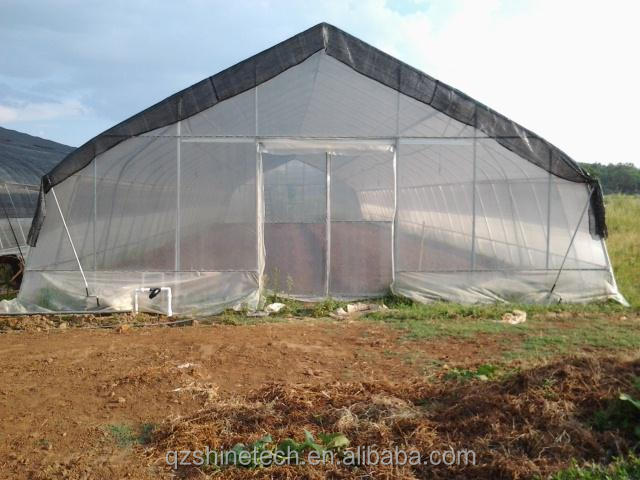 6m-10m Width Single Layer High Strength Poly Tunnel Greenhouse For Tomato Production