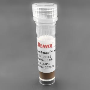 Quality 300nm 50 mg / mL 1 mL Silica Encapsulated Magnetic Beads For RNA Extraction SC wholesale