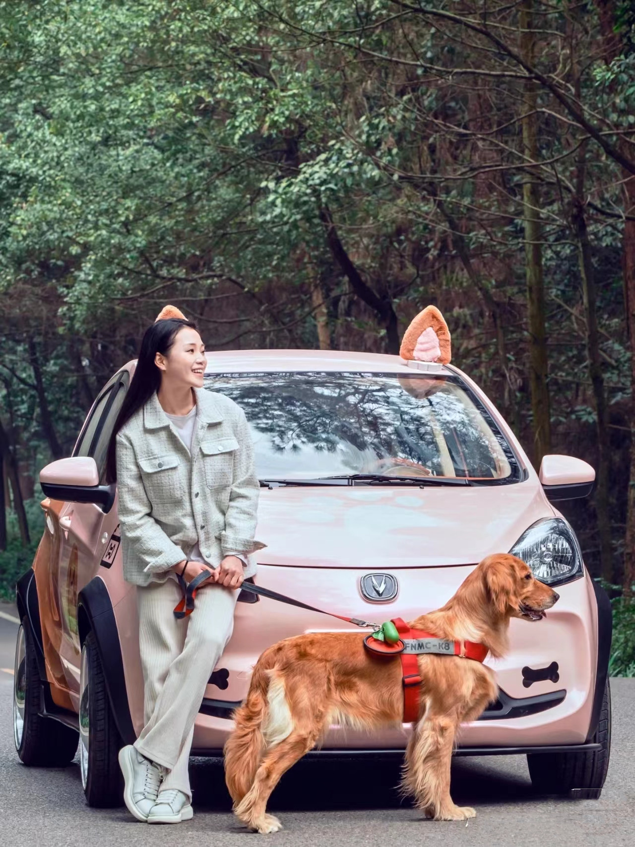Changan Benben E-Star Electric Car 2023 Model 5 Door 5 Seats Pure Electric 75HP 301km Range 101km/h Full load weight 1150KG