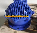 resilient seal cast iron flanged foot valve