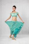 Elegant Belly Dancer Costume Blue Green Floor Length Maxi Skirt Plain Neckline