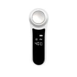 RF EMS 3D Face Roller Massager
