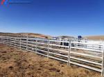 Modern Cattle Sheds Steel Structure Cow Barn And Cow Shed Customized