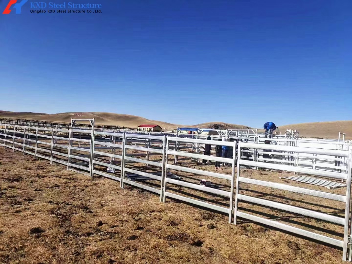 Modern Cattle Sheds Steel Structure Cow Barn And Cow Shed Customized