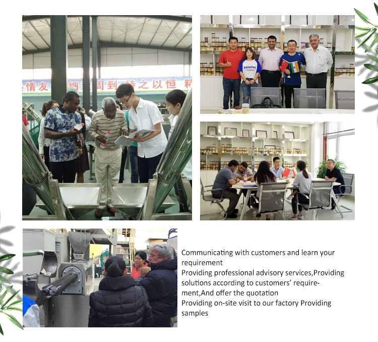 1000kg/h Capacity Automatic Versatile Dog Food Production Line for Versatile Solutions