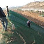 Reinforced Green 3D Geomat for Slope Protection Onsite Training Offered