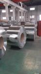 MR / SPCC Tinplate Coil For Various Applications 0.15-0.49mm Thickness 600-986mm