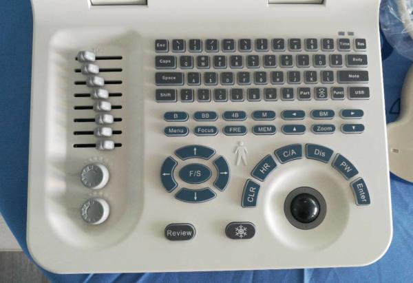 Cheap USB Canine Bovine Veterinary Ultrasound Equipment 3.5Mhz Convex Array Probe for sale