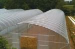 Indoor Outdoor Greenhouse Tent Small / vegetable Grow Tent Easy Installed