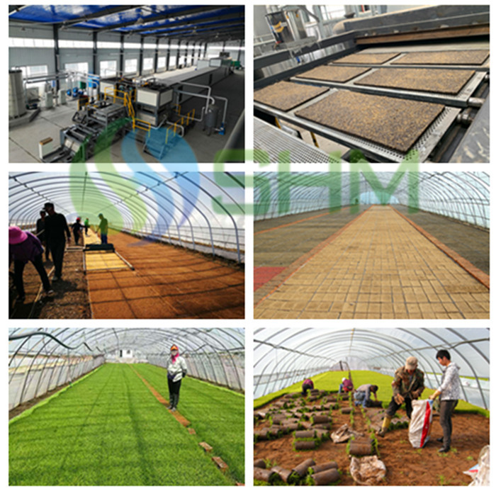 Biodegradable Nursery Tray Making Machine Automatic With Nutrient Matrix Waste Paper