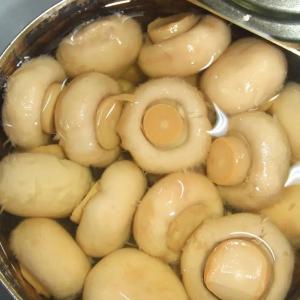 Quality OEM Private Label Canned Mushroom In Brine Water Canned Food wholesale