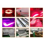 Infrared Light Multi-Function Rehabilitation Photodynamic Equipment Full Body