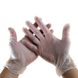 Quality Long Disposable Vinyl Glove No Natural Latex Protein For Food Preperation wholesale