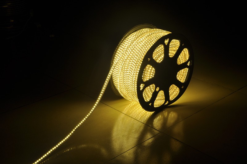 High Class SMD 5050 Single/RGB 220V/120V LED Strip Light High Bright Adversiting Decoration Lighting grow