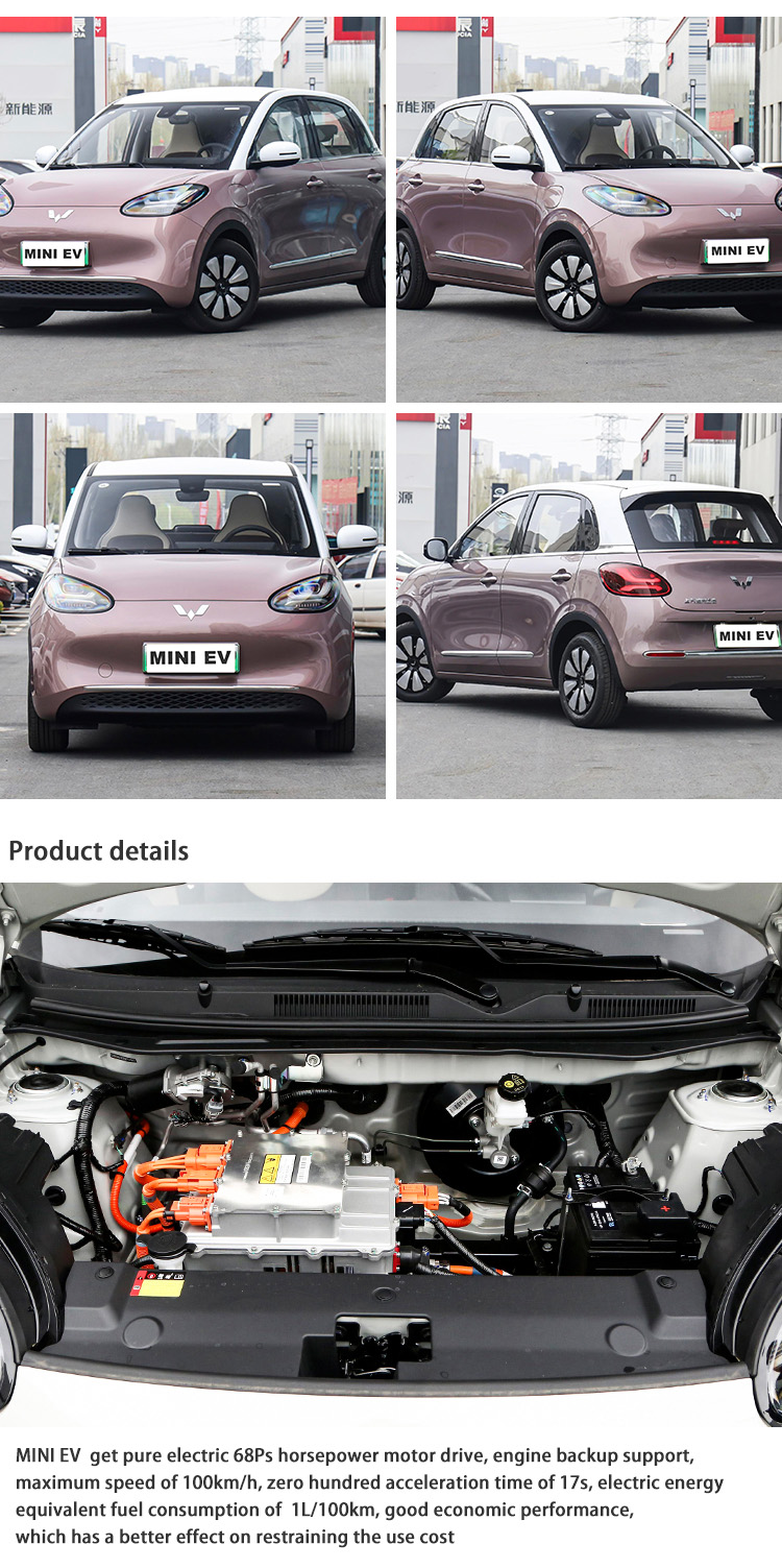 powerful mini eV cars eco friendly adult electric vehicle new energy