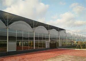 Quality High Durability Plastic Film Greenhouse Great Space Efficient Performance wholesale