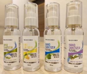 Quality OEM ODM Daily Antiseptic Hand Sanitizer With 75% Alcohol 250ML wholesale