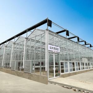 Quality Multi Span Hyroponic Galvanized Float Venlo Greenhouse Glass Agricultural Kits wholesale