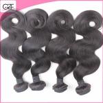 Fast Delivery DHL Shipping aaaaaa Virgin Brazilian Hair Virgin Body Wave Bundle