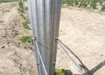 Vine Plants Vineyard Grape Stake Vineyard Line Posts Hot Dipped Galvanized