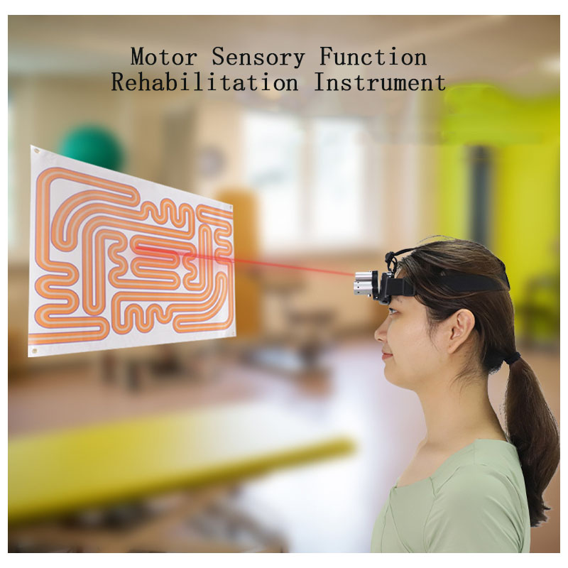 Medical Physical Therapy Sensorimotor Function Rehab Device Equipment Rechargeable