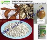 pueraria mirifica powder extract best quailty --Pueraria Lobata (Wild.) ohwi