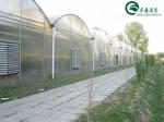 Double Layer Green House for Cultivating Vegetable Fruits and Flowers